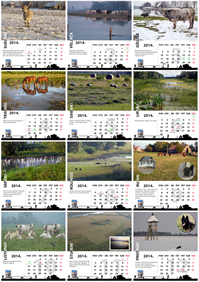 Kalendar 2014. BED